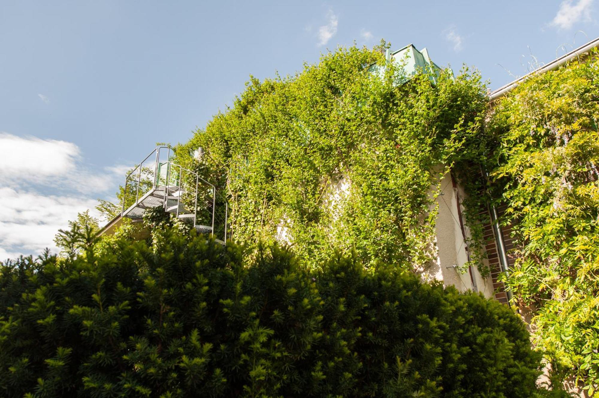 Český Krumlov Pension Krumau חדר תמונה